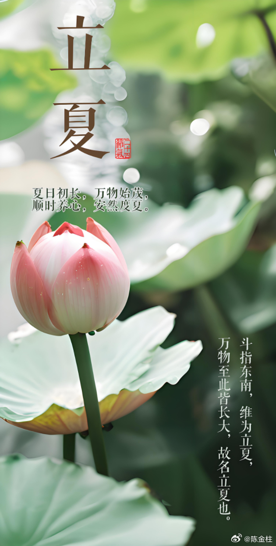 61bd8d76gy1i14fkyowu1j20fm0uugwb.jpg